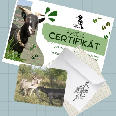 Adoptujte kozu/ovci! Napíše vám pohled.